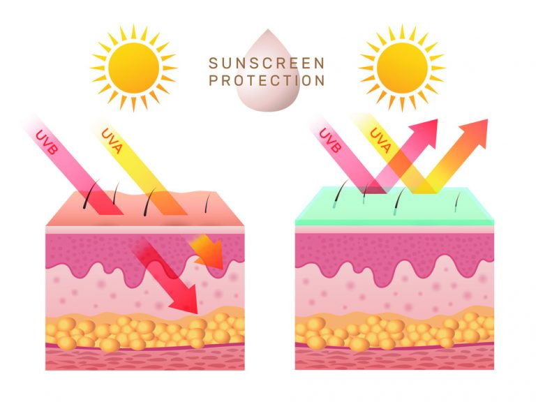 The Importance of Melanin in Protecting the Skin - Hexis Lab